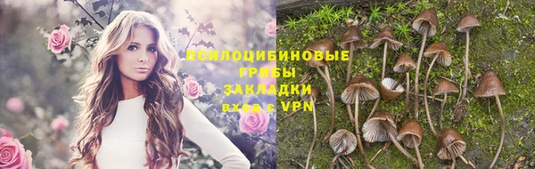 эйфоретик Алзамай