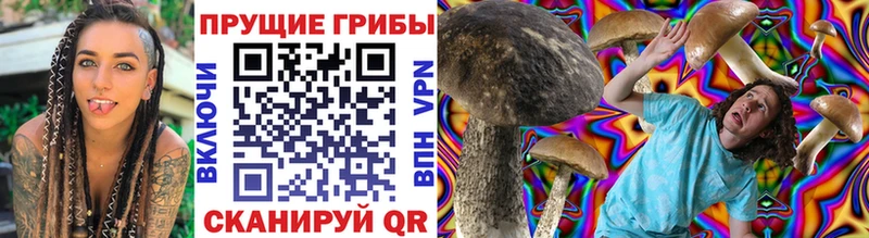 мега ссылки Елабуга Галлюциногенные грибы мухоморы